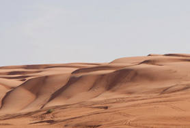 desert safari in Abu Dhabi